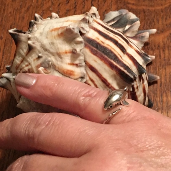 Silver Shark Ring - Picture 4 of 4